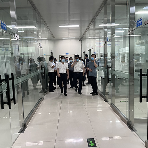 City Leaders Inspect Big Tree Group's Pandemic Response & Work Resumption